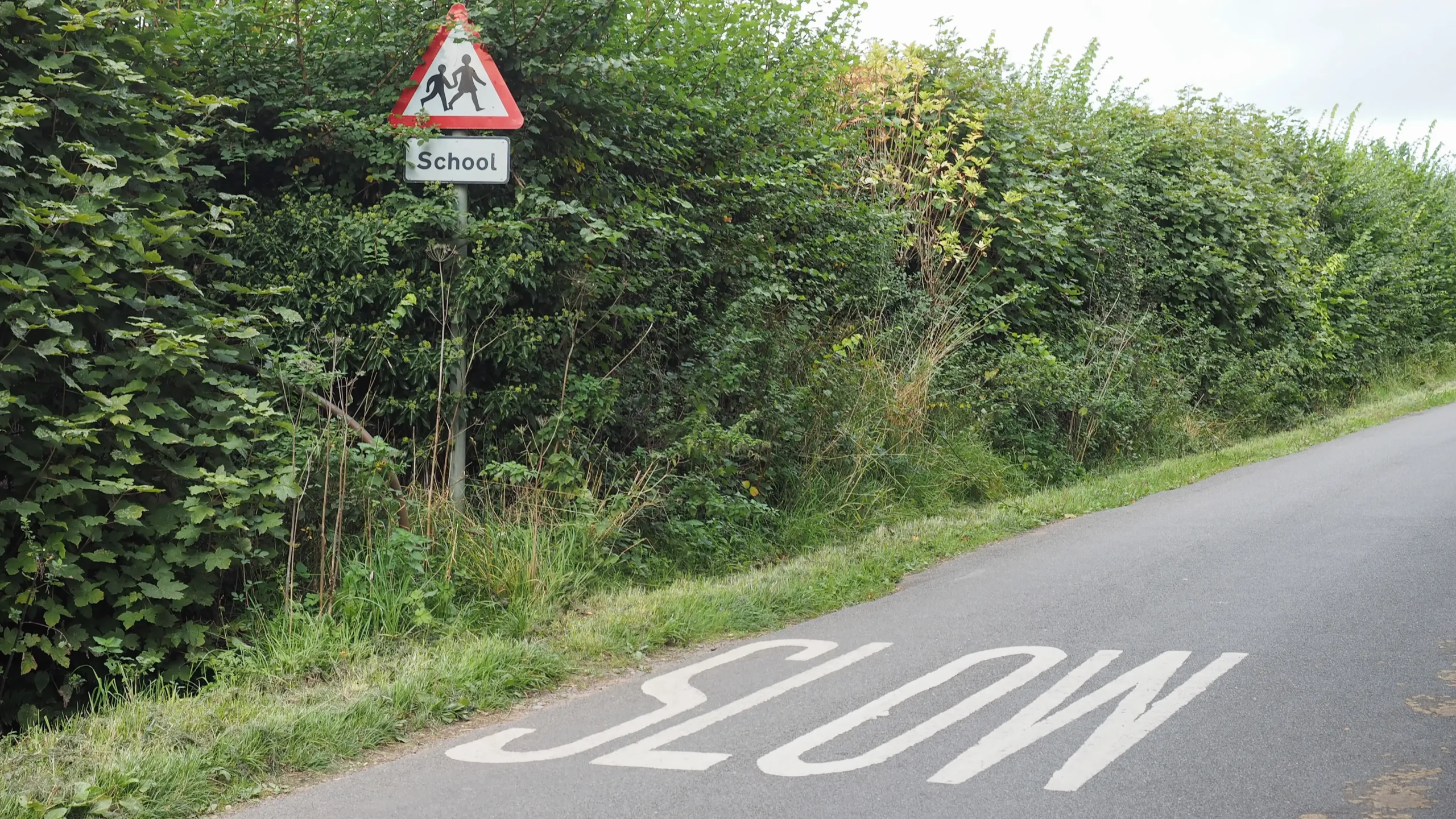 Una carretera té escrita al terra la paraula 'SLOW' ('lent' en anglès). Al costat de la inscripció hi ha una senyal que alerta del perill per entrar en zona escolar. Sota la senyal, una altra senyal té la paraula 'School' ('escola' en anglès).